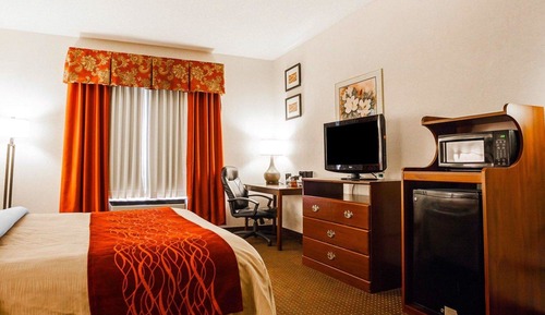 Chambre, 1 grand lit, accessible aux personnes à mobilité réduite, non-fumeurs