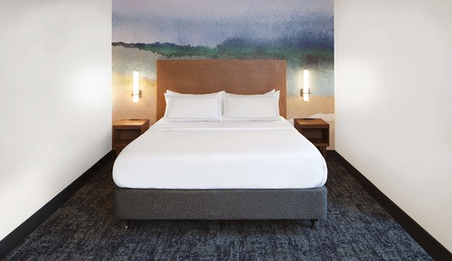 Chambre, 1 très grand lit, accessible aux personnes à mobilité réduite (Mobility, Roll-In Shower)