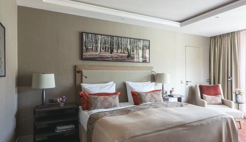 Chambre, vue montagne (Elegant Nature)