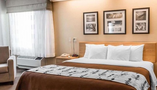 Chambre, 1 très grand lit, accessible aux personnes à mobilité réduite, non-fumeurs