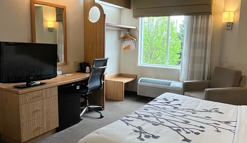 Chambre Standard, 1 très grand lit, non-fumeurs