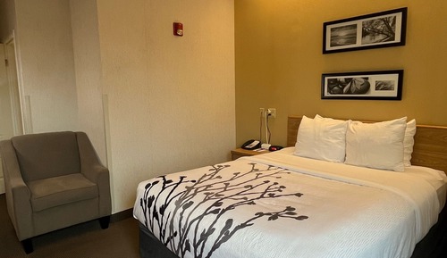 Chambre, 1 grand lit, accessible aux personnes à mobilité réduite, non-fumeurs