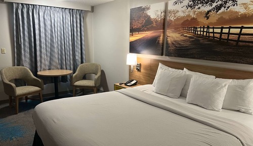 Chambre Standard, 1 très grand lit