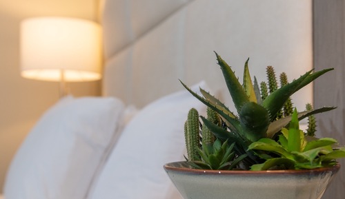 Chambre Économique, 1 très grand lit, accessible aux personnes à mobilité réduite