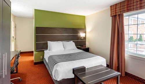 Chambre Standard, 1 grand lit, non-fumeurs, réfrigérateur
