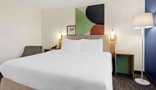 Chambre, 1 très grand lit, accessible aux personnes à mobilité réduite (Roll-In Shower)