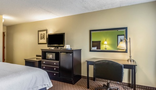 Chambre Standard, 1 grand lit, fumeurs