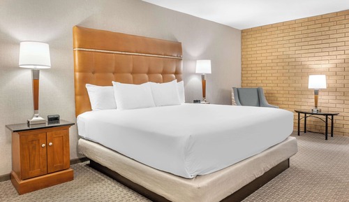Chambre Deluxe, 1 très grand lit, accessible aux personnes à mobilité réduite (Roll in Shower)