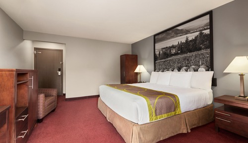 Chambre Standard, 1 très grand lit, non-fumeurs (No Pets)