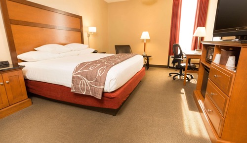 Chambre Deluxe, 1 très grand lit, accessible aux personnes à mobilité réduite (Roll in Shower)