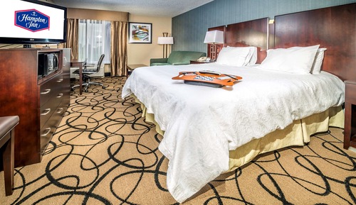 Chambre, 1 très grand lit et 1 canapé-lit, réfrigérateur et four à micro-ondes