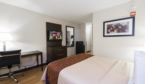 Chambre Deluxe, 1 grand lit, accessible aux personnes à mobilité réduite (Roll-In Shower)