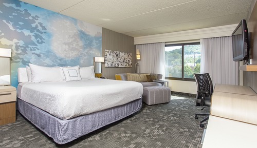 Chambre, 1 très grand lit et 1 canapé-lit (Mobility/Hearing Accessible, Tub)