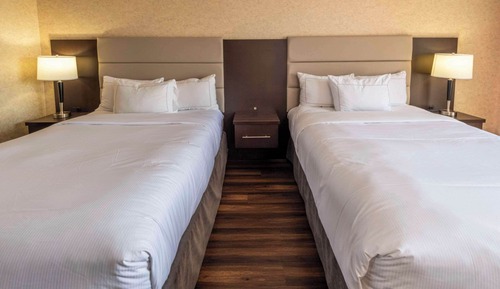 Chambre Standard, 2 grands lits, non-fumeurs