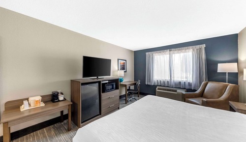 Chambre, 1 très grand lit, accessible aux personnes à mobilité réduite, non-fumeurs (Roll-In Shower)