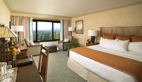 Chambre Premium, 1 très grand lit, vue montagne