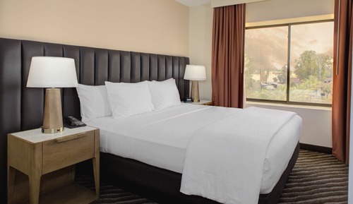 Suite, 1 très grand lit, accessible aux personnes à mobilité réduite (Roll-in Shower)