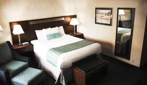Efficiency, Chambre Deluxe, 1 grand lit, non-fumeurs