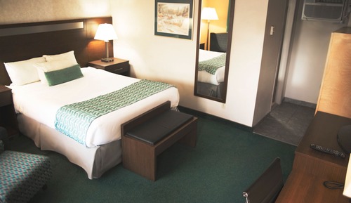 Efficiency, Chambre, 1 grand lit, non-fumeurs