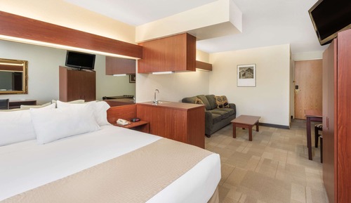Studio, 1 grand lit, accessible aux personnes à mobilité réduite, non-fumeurs (Roll-in Shower)