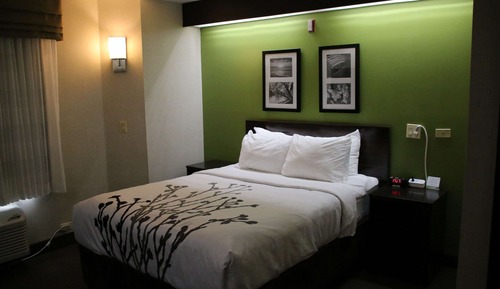 Chambre, 1 grand lit, accessible aux personnes à mobilité réduite, non-fumeurs