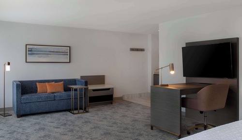 Studio, 1 très grand lit, réfrigérateur (Mobility & Hearing, Bathtub, Wet Bar)