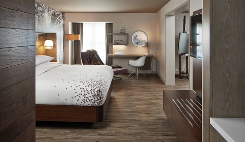 Suite, 1 chambre