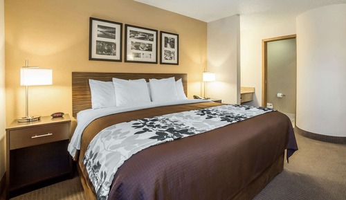 Chambre, 1 très grand lit, accessible aux personnes à mobilité réduite, non-fumeurs