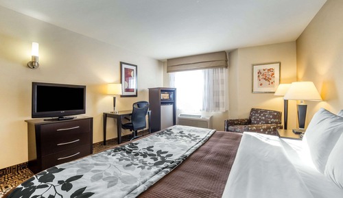 Chambre Standard, 1 très grand lit, non-fumeurs