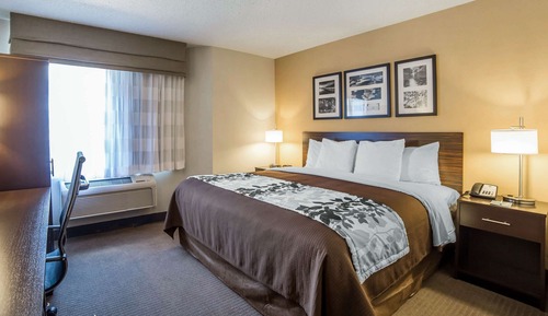 Chambre, 1 très grand lit, accessible aux personnes à mobilité réduite, non-fumeurs