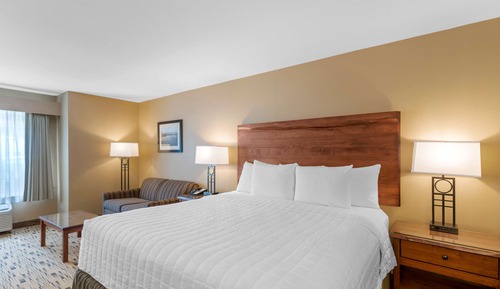 Chambre Standard, 1 très grand lit, réfrigérateur et four à micro-ondes, pas de vue