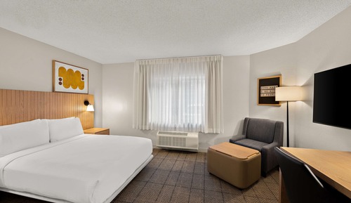 Suite Studio, 1 grand lit, accessible aux personnes à mobilité réduite (Mobility Roll in Shower)