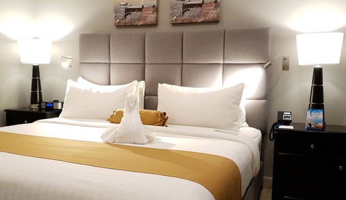 Chambre Premium, 1 très grand lit, non-fumeurs, réfrigérateur et four à micro-ondes