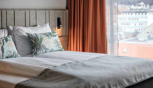 Suite Standard, 1 lit double et 1 canapé-lit, non-fumeurs