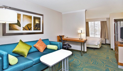Suite, 1 très grand lit et 1 canapé-lit (Mobility/Hearing Accessible, Tub)