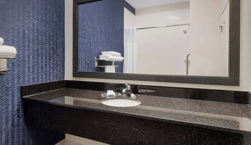 Chambre, 1 grand lit (Mobility Accessible, Roll-In Shower)