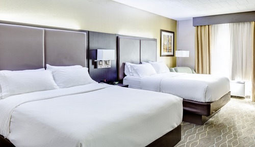 Chambre Standard, 2 grands lits (Pet Friendly)