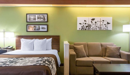 Suite, plusieurs lits, non-fumeurs (2 Queen, 2 Person Sofa Bed)