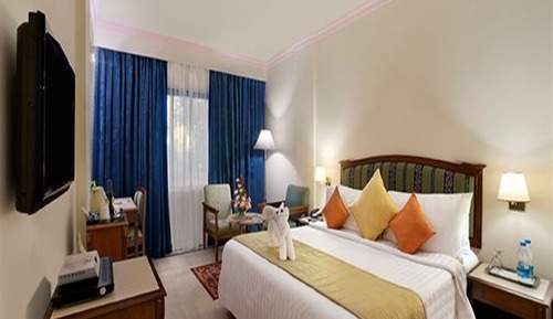 Chambre Simple Supérieure, 1 très grand lit