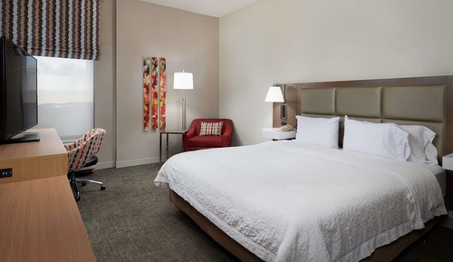 Suite, 1 très grand lit, accessible aux personnes à mobilité réduite (Stand Shower)