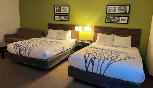 Chambre Standard, 2 lits doubles, non-fumeurs