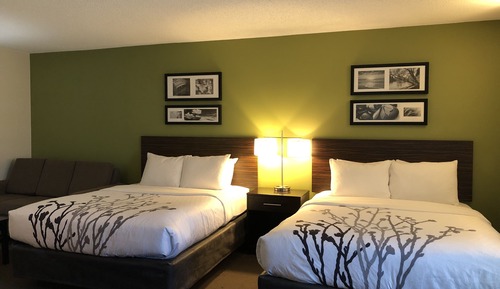 Chambre Standard, 2 lits doubles, non-fumeurs (Pet Friendly)