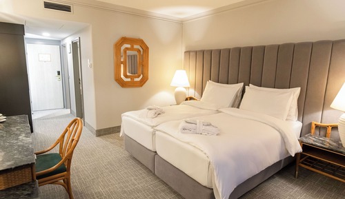 Chambre Supérieure, 1 lit double, non-fumeurs, salle de bains attenante