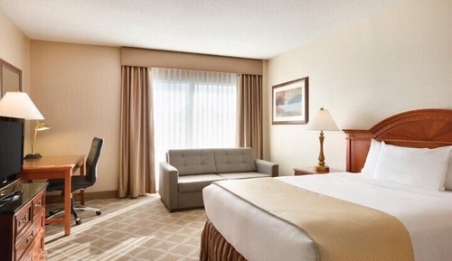 Chambre Standard, 1 grand lit et 1 canapé-lit, non-fumeurs (Pet Friendly)