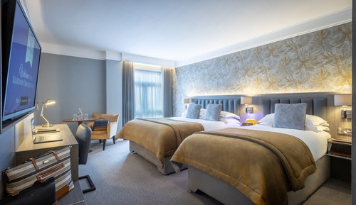 Chambre Deluxe Double ou avec lits jumeaux