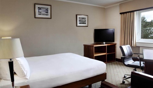 Chambre Double Standard