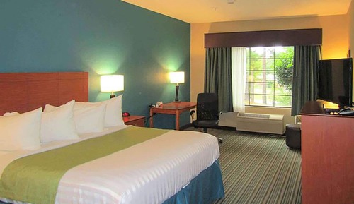 Chambre, 1 très grand lit, accessible aux personnes à mobilité réduite (Mobility, Roll-in Shower)