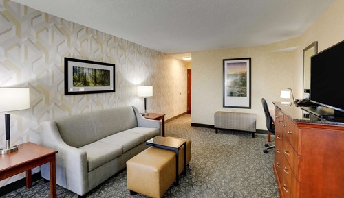 Suite Deluxe, 1 très grand lit et 1 canapé-lit, réfrigérateur et four à micro-ondes (2 Rooms)