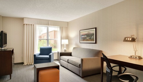 Suite, 1 très grand lit, accessible aux personnes à mobilité réduite, vue piscine (Bathtub)