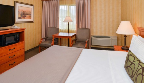 Chambre Standard, 1 très grand lit, non-fumeurs, réfrigérateur et four à micro-ondes (Pet Friendly)